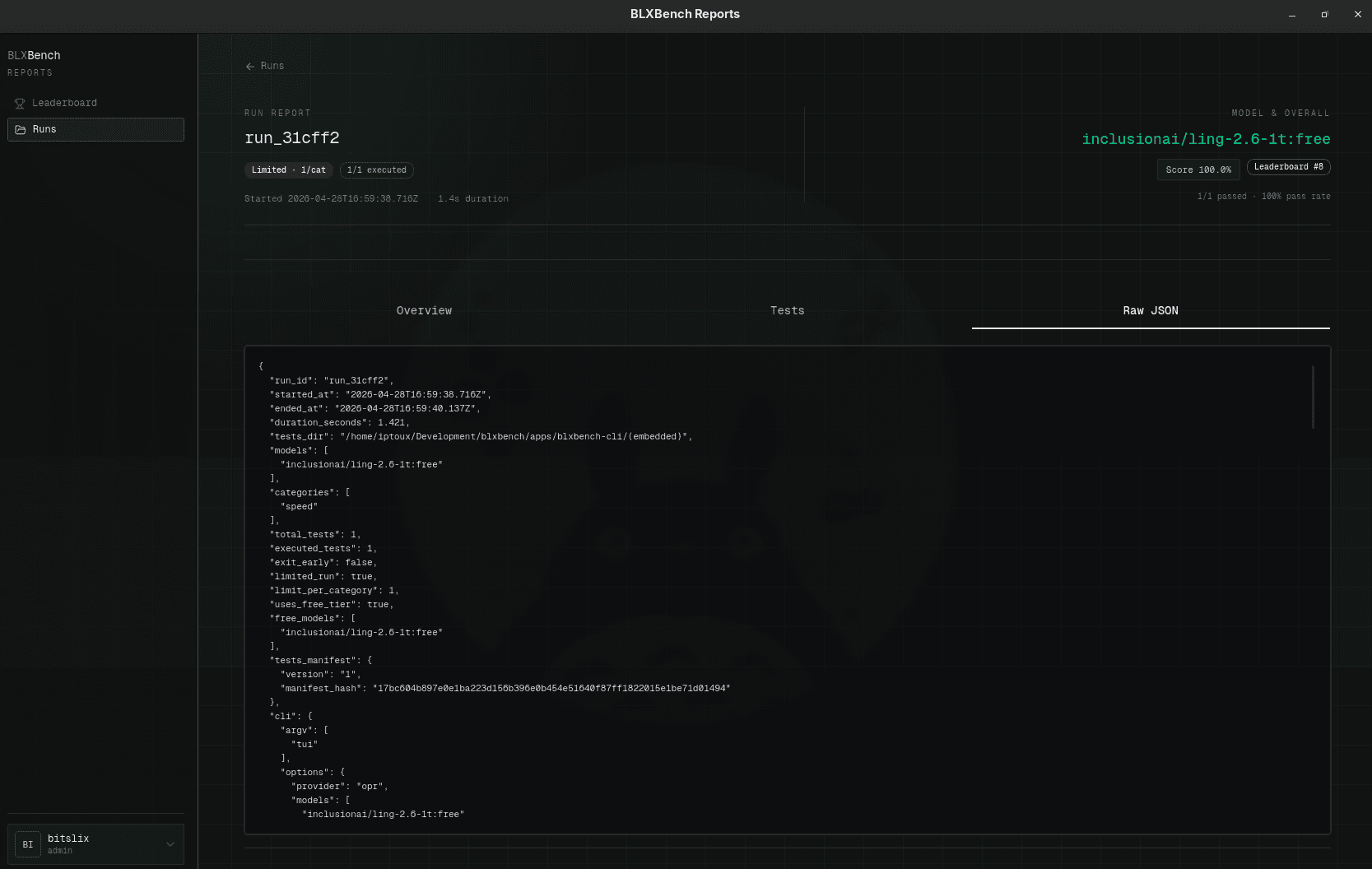Run report — Raw JSON tab